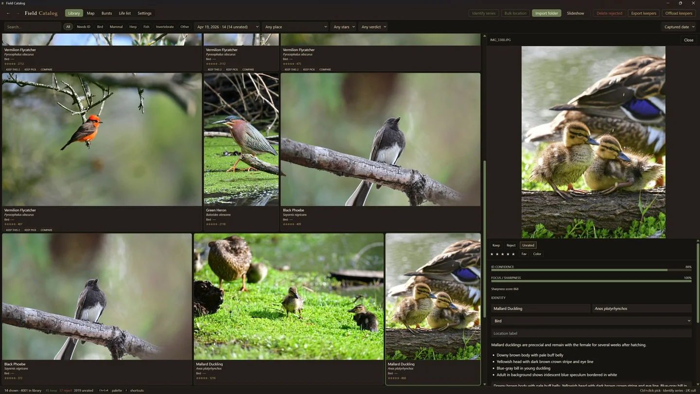 Field Catalog’s photo library with bird photographs and identification controls.